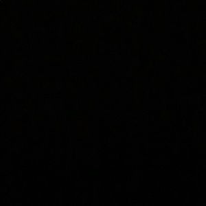 Meet your Posher, Ava